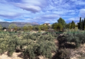 Xalet independent amb terreny en venda a Alcosser ref.: TR405424 foto