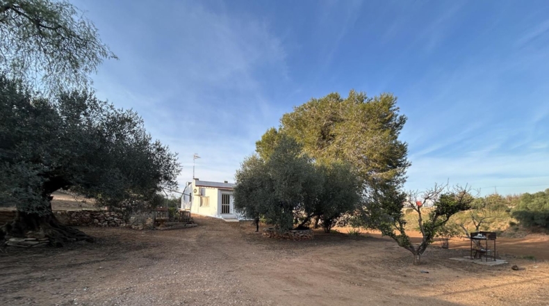 Tarragona - Masdenverge - 6221m2