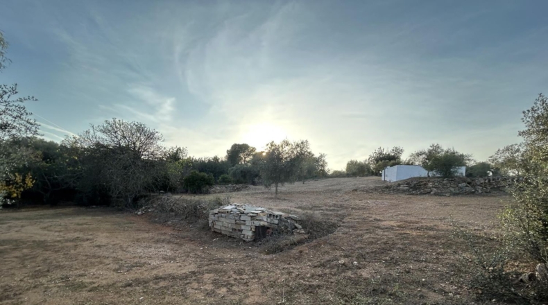 Tarragona - Masdenverge - 6221m2