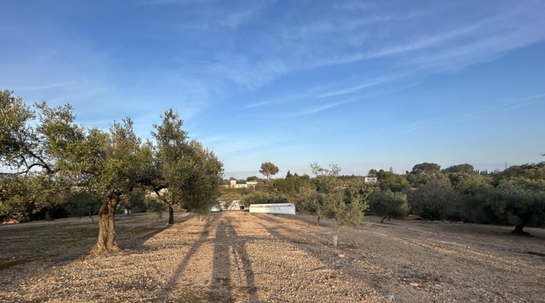 Tarragona - Masdenverge - 6221m2