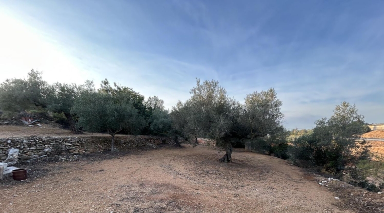 Tarragona - Masdenverge - 6221m2