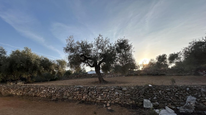 Tarragona - Masdenverge - 6221m2