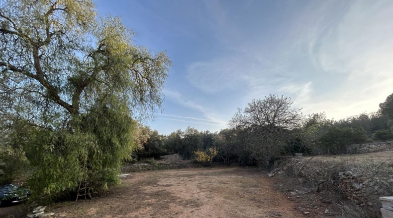 Tarragona - Masdenverge - 6221m2