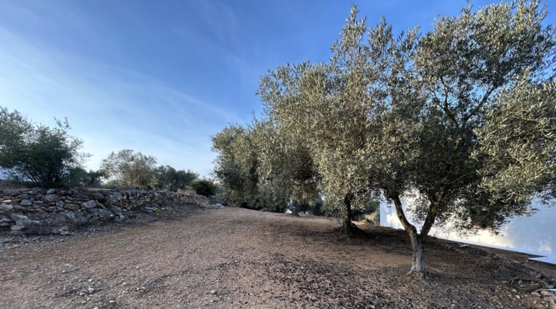 Tarragona - Masdenverge - 6221m2