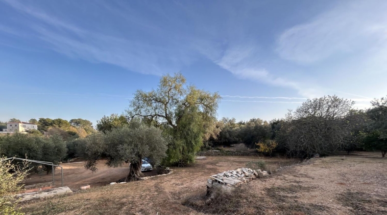 Tarragona - Masdenverge - 6221m2