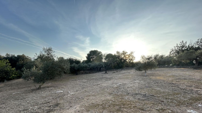 Tarragona - Masdenverge - 6221m2