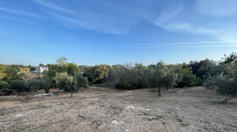 Tarragona - Masdenverge - 6221m2