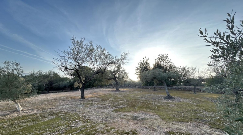 Tarragona - Masdenverge - 6221m2
