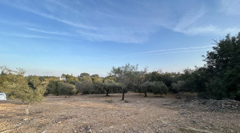 Tarragona - Masdenverge - 6221m2