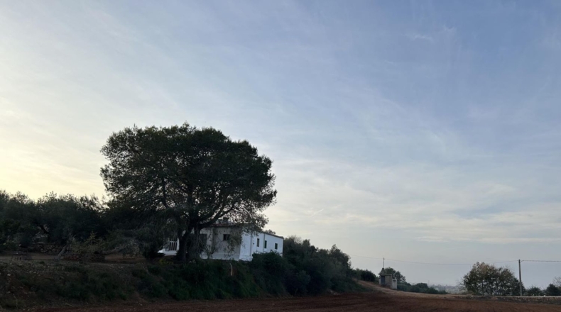 Tarragona - Masdenverge - 6221m2