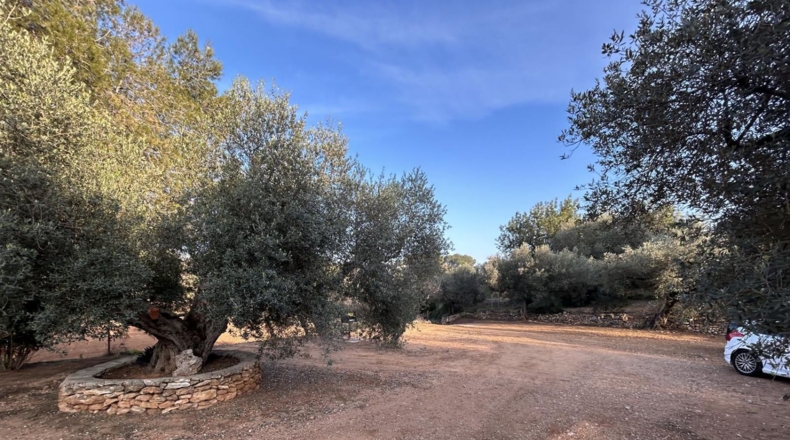 Tarragona - Masdenverge - 6221m2