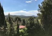 Xalet independent amb terreny en venda a Sant Miquel d'Olèrdola ref.: TR405426 foto