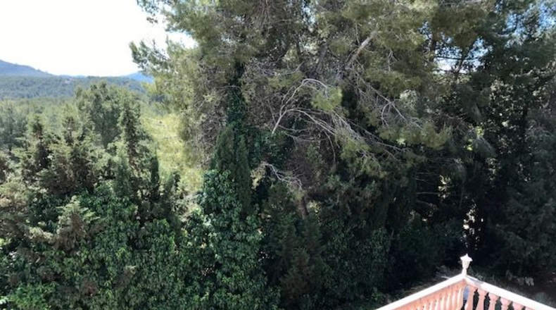 Barcelona - Sant Miquel d'Olèrdola - 900m2