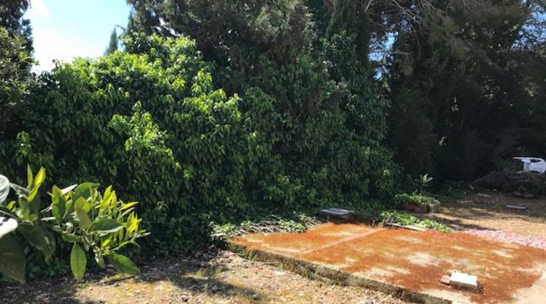 Barcelona - Sant Miquel d'Olèrdola - 900m2