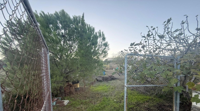 Málaga - Villanueva del Trabuco - 8163m2