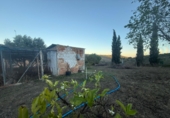 Finca rústica en venda a Villanueva del Trabuco ref.: TR405428 foto
