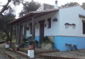 Country house with land for sale on Paraje El Palomar, Cabeza la Vaca, ref: TR405139 photo
