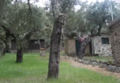 Country house with land for sale on Paraje El Palomar, Cabeza la Vaca, ref: TR405139 photo
