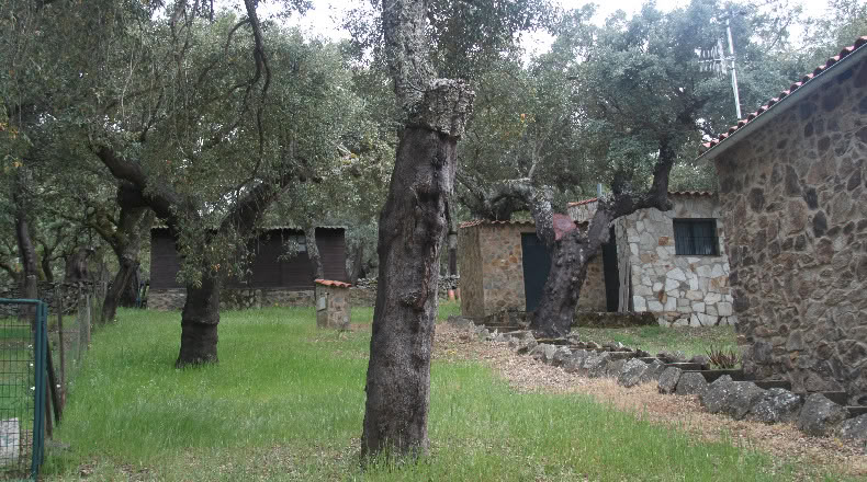 Бадахос - Cabeza la Vaca - 17000m2