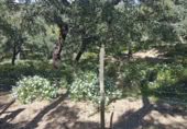 Country house with land for sale on Paraje El Palomar, Cabeza la Vaca, ref: TR405139 photo