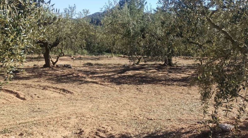 Tarragona - Calafell - 14000m2