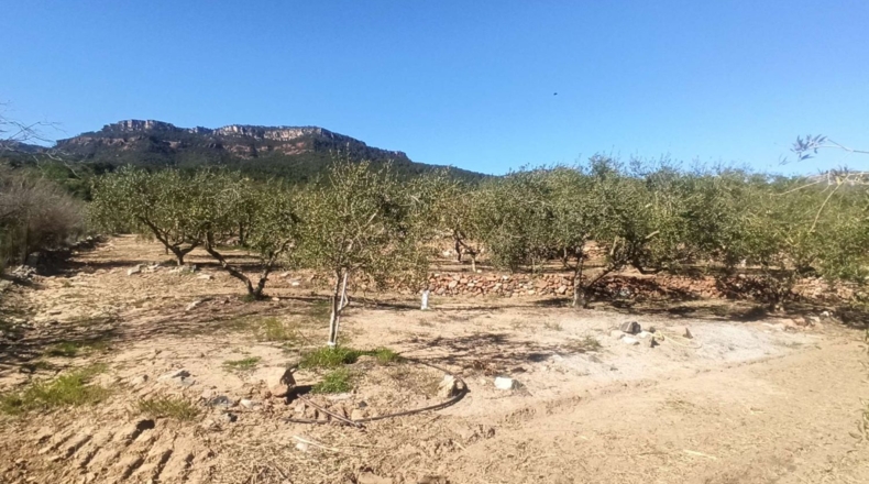 Tarragona - Calafell - 14000m2