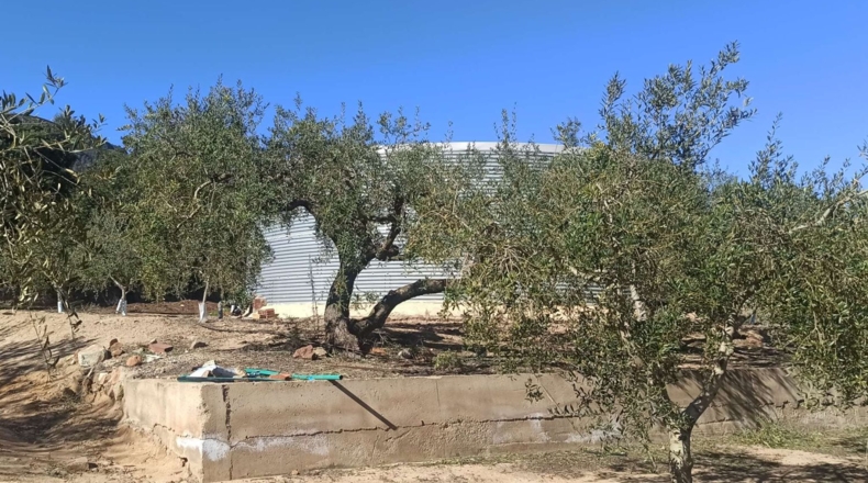 Tarragona - Calafell - 14000m2