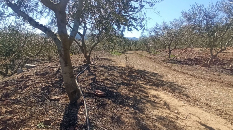 Tarragona - Calafell - 14000m2
