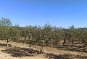 Foto 18