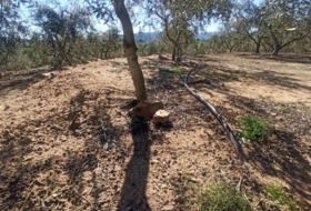 Foto 19