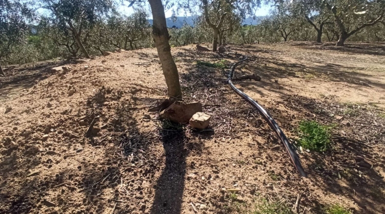 Tarragona - Calafell - 14000m2