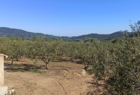 Foto 20