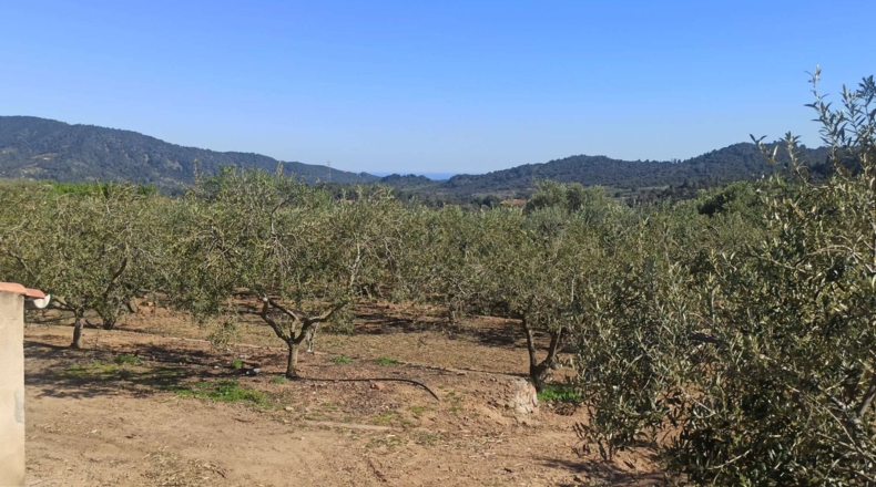 Tarragona - Calafell - 14000m2