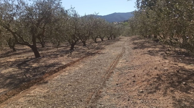 Tarragona - Calafell - 14000m2
