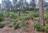 Sòl urbà en venda a Bigues ref.: TR405437 foto
