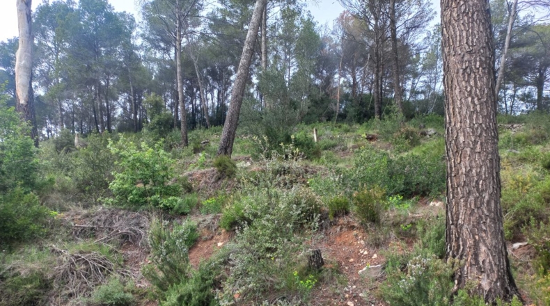 Barcelona - Bigues - 657m2