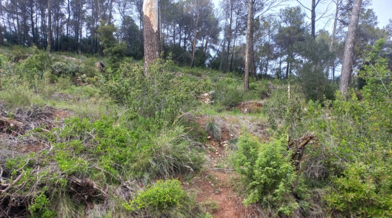 Barcelona - Bigues - 657m2