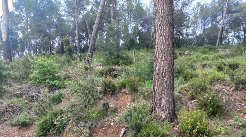 Barcelona - Bigues - 657m2