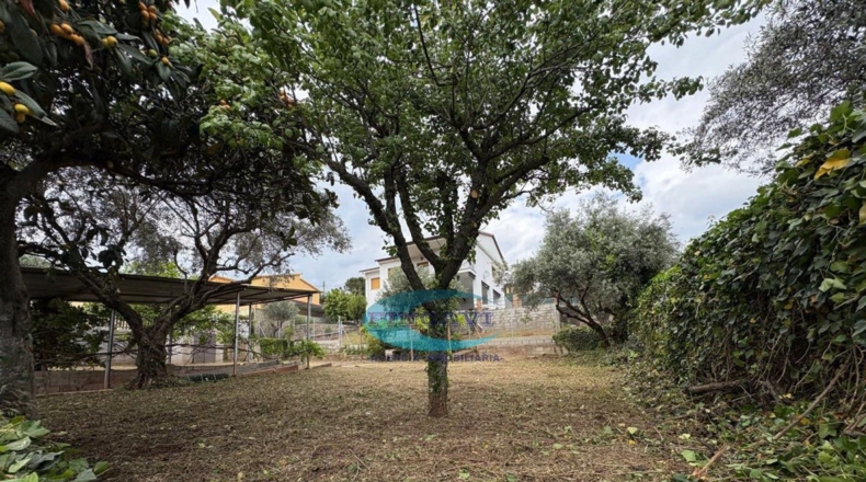 Barcelona - Bigues - 515m2