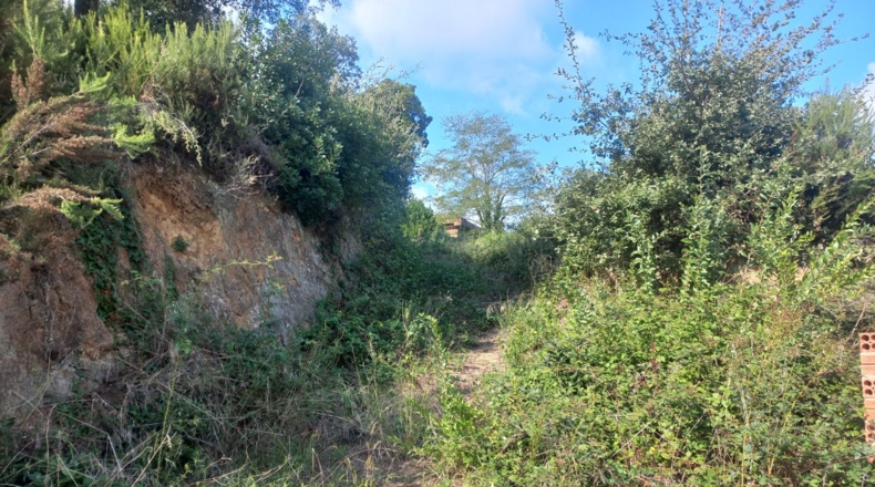 Barcelona - Bigues - 470m2