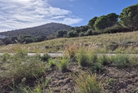el Port de la Selva 820&nbsp;м²
