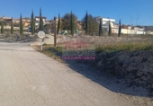 Terreno no urbanizable en venta en Bufali ref: TR405448 foto