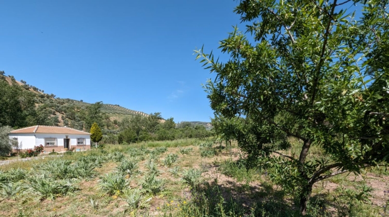 Córdoba - Iznájar - 4620m2