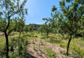 Casa de campo con terreno en venta en Iznájar ref: TR405452 foto