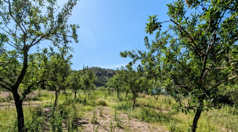 Córdoba - Iznájar - 4620m2