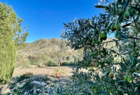 Cantoria 2165&nbsp;m²