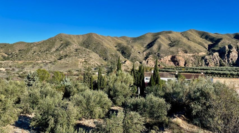 Almeria - Кантория - 2165m2