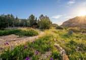 Casa de camp amb terreny en venda a Cantoria ref.: TR387238 foto