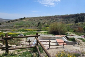 Foto 6