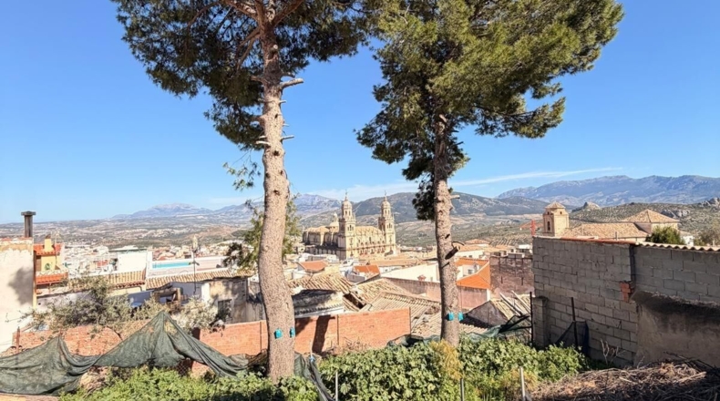 Jaén - Puente Tablas - 300m2